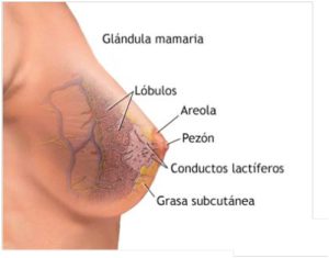 02vagina