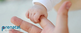 FOTO HOME_art06_340x139