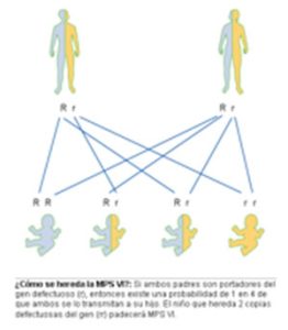esquema