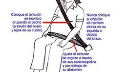 Utilizar siempre el cinturón de seguridad, preferentemente el de tres puntas